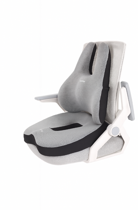 Everyday Comfort Seat Cushion